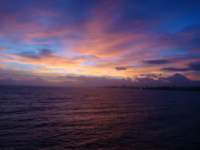 cruise804_small.jpg