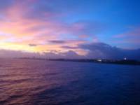 cruise805_small.jpg