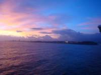 cruise806_small.jpg