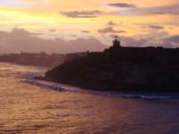 cruise809_small.jpg