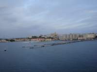 cruise816_small.jpg