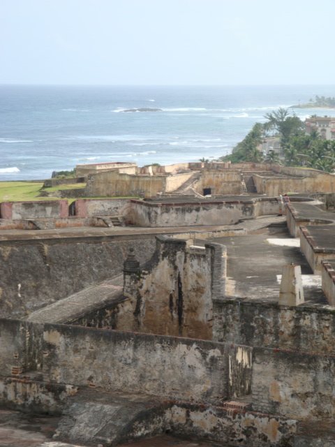 cruise843.jpg