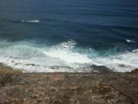 cruise846_small.jpg