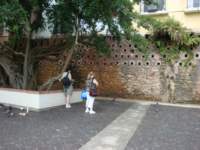 cruise879_small.jpg