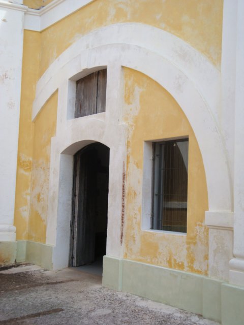 cruise901.jpg