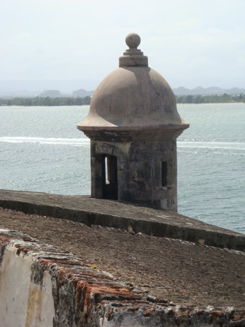 cruise915.jpg