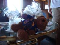 cruise940_small.jpg