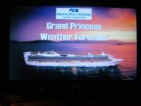 cruise949_small.jpg
