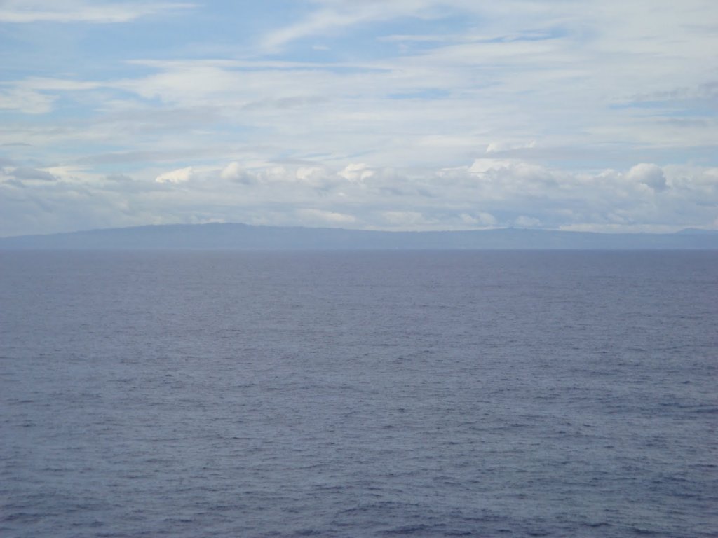 cruise956.jpg