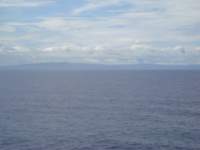 cruise956_small.jpg