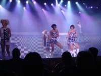 cruise999_small.jpg