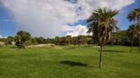 wp_20170921_10_01_31_pro_small.jpg