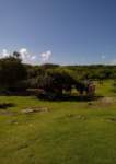 wp_20170921_10_13_18_panorama_small.jpg