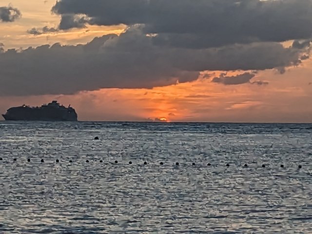 pxl_20231025_231624431.jpg