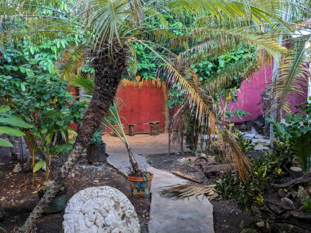 pxl_20231026_230130938.jpg