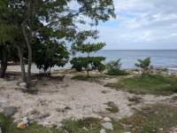 pxl_20231027_140511151_small.jpg