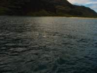 img_3357_small.jpg