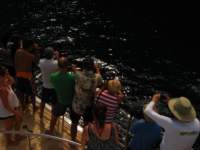 img_3364_small.jpg