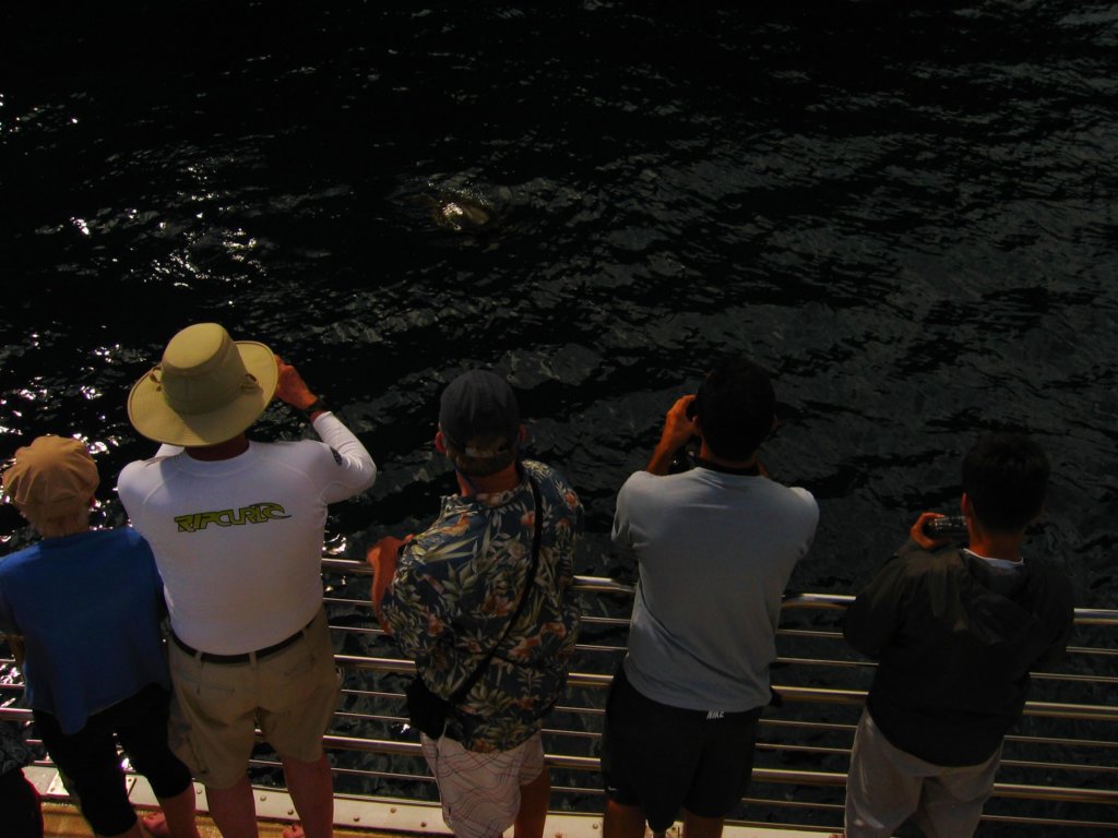 img_3366.jpg