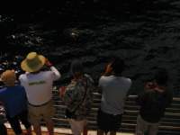 img_3366_small.jpg