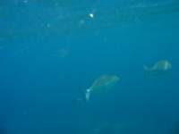 img_3386_small.jpg