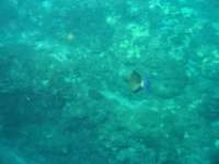 img_3387_small.jpg