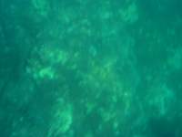 img_3396_small.jpg