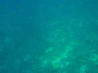 img_3397_small.jpg