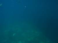 img_3398_small.jpg