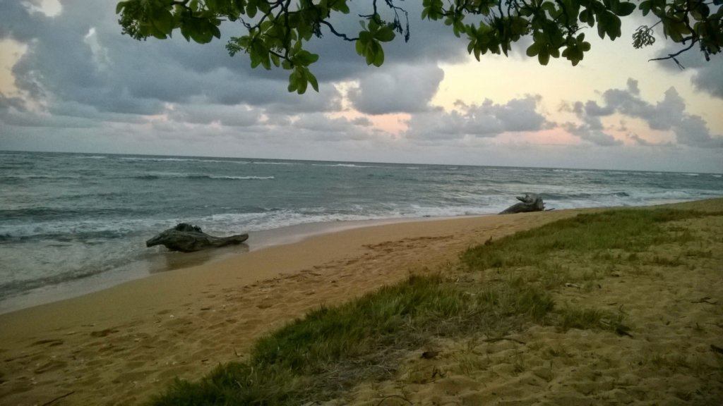 wp_20140731_005.jpg