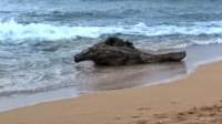 wp_20140731_006_small.jpg