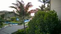 wp_20140801_001_small.jpg