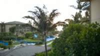 wp_20140801_002_small.jpg