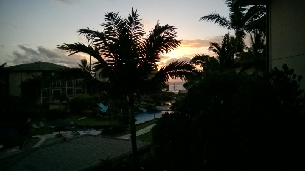 wp_20140801_003.jpg