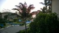 wp_20140801_005_small.jpg