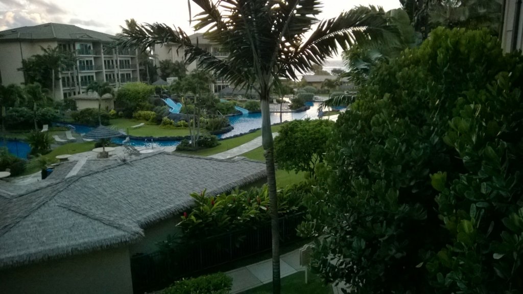 wp_20140801_010.jpg