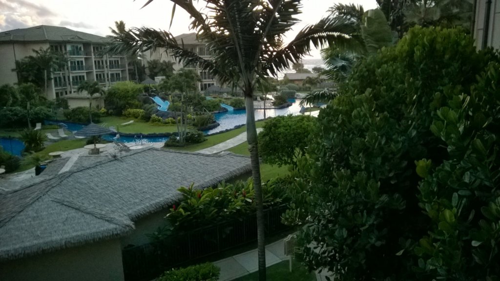 wp_20140801_011.jpg