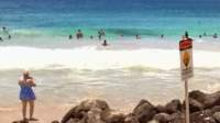 wp_20140801_014_small.jpg