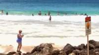 wp_20140801_015_small.jpg