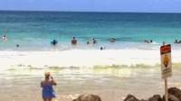 wp_20140801_016_small.jpg