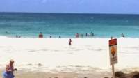 wp_20140801_018_small.jpg