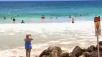 wp_20140801_019_small.jpg