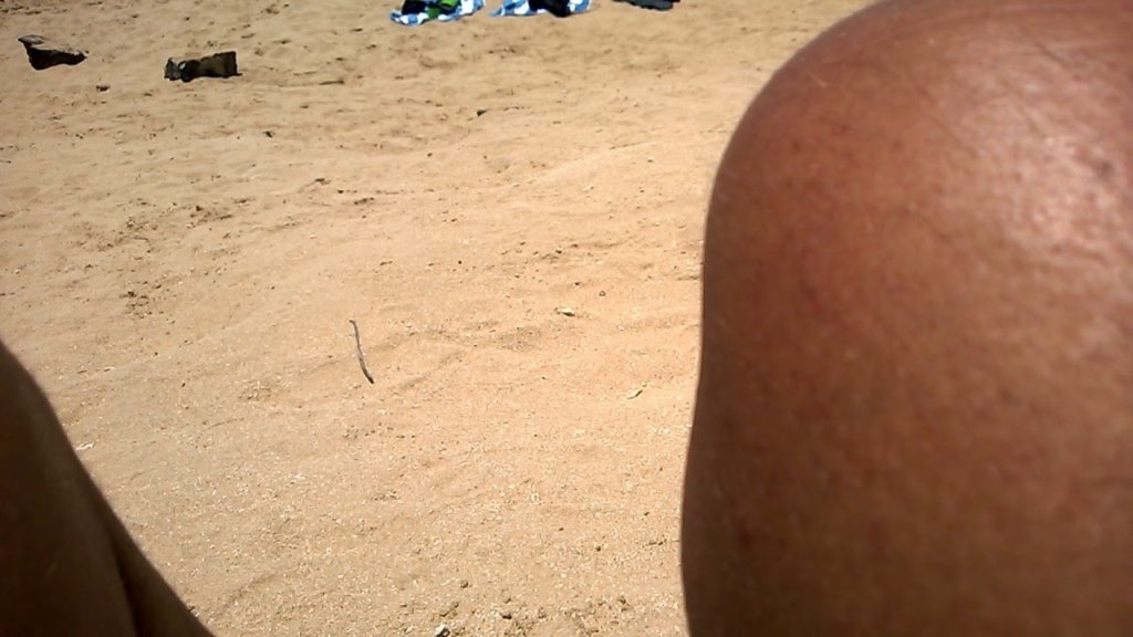 wp_20140801_020.jpg