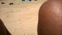 wp_20140801_020_small.jpg