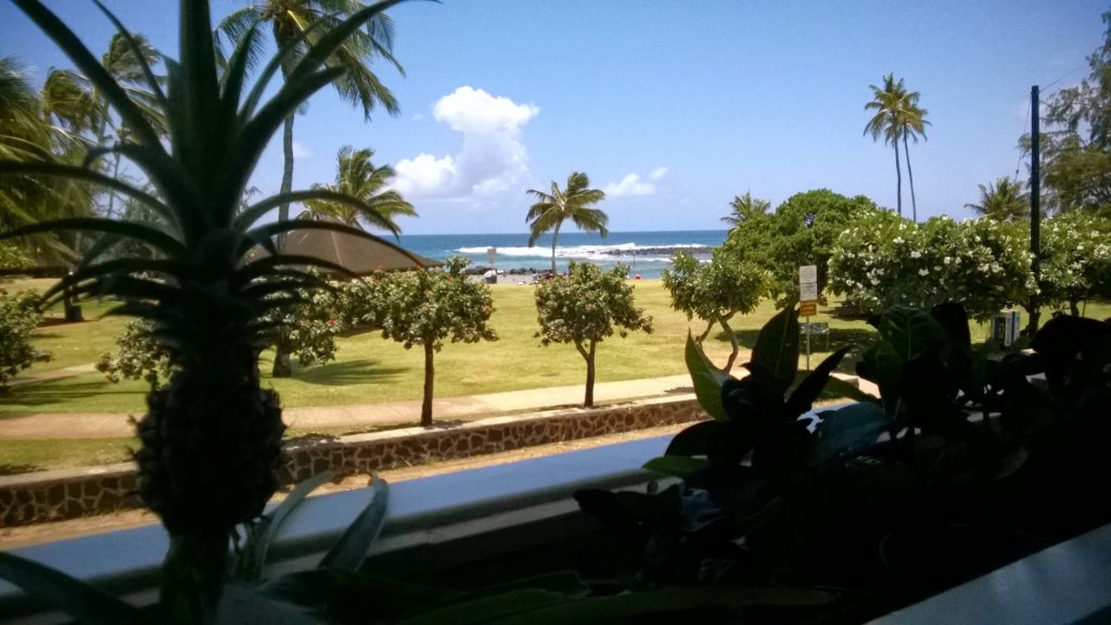 wp_20140801_029.jpg