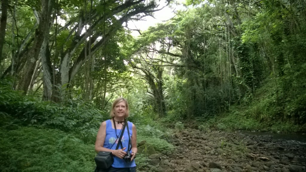 wp_20140802_008.jpg