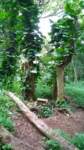 wp_20140802_009_small.jpg