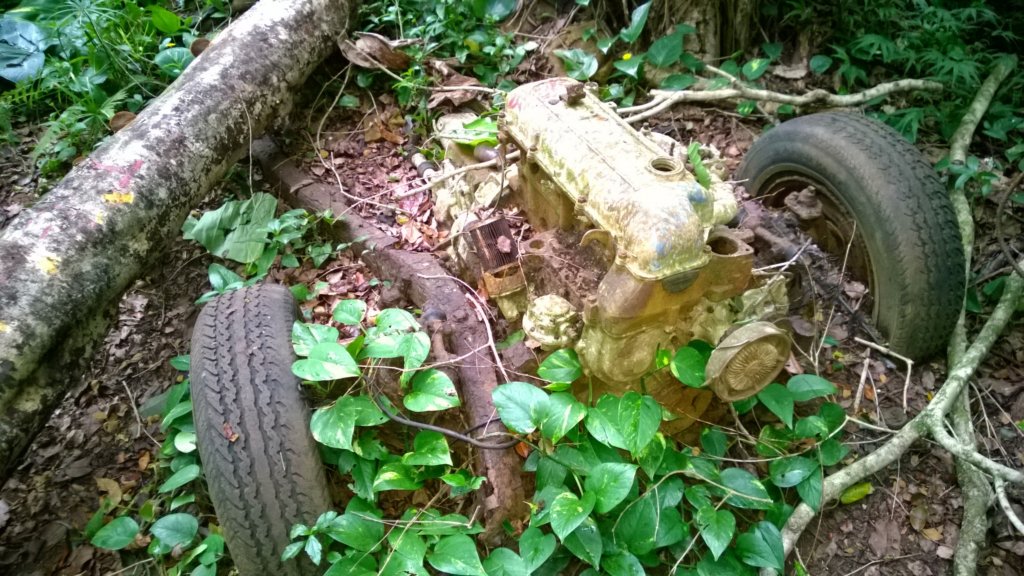 wp_20140802_010.jpg
