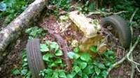 wp_20140802_010_small.jpg