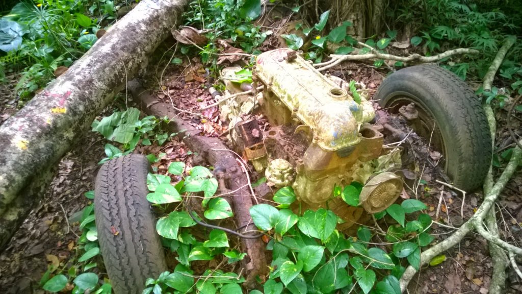 wp_20140802_011.jpg